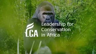 Climate change and great ape conservation