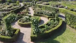 イングリッシュローズガーデン ドローンによるガーデンツアー