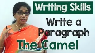 How to Write a Paragraph about The Camel in English | Composition Writing  | Reading Skills