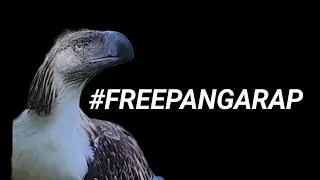 PANGARAP Deserves FREEDOM!!!
