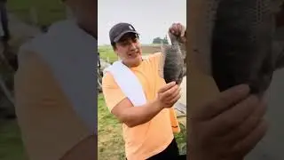 Bong Revilla//Sobrang laki ng palaisdaan nya//Dami huli! #shorts #fishing #fish #viral #celebrity