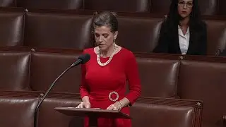 Нэнси Мейс вносит в Палату представителей законопроект о порицании Ильхан Омар