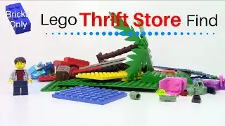 I Finally Found Lego at a Thrift Store! | Haul #29!