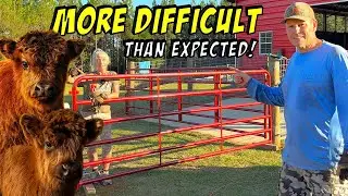 Эта ПРОСТАЯ установка фермерских ворот чуть не разорила нас!