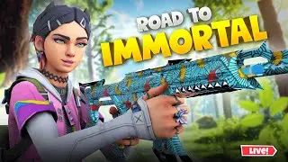 FIRST VALORANT LIVE 🔴 | CHILL STREAM | ROAD TO PRO? 👀