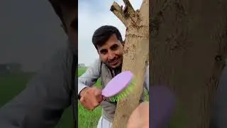 Asmr massage with tree #asmr #satisfying #asmtingles #aggressiveasmr #fasttrigger #asmrmassage