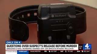 Questions over suspect's release before murder