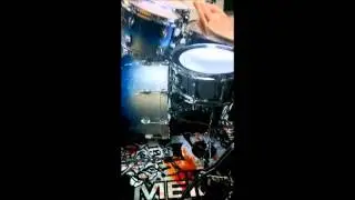 Sakae Almighty Maple Gene