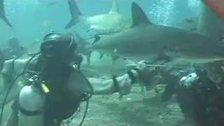 How close is too close?