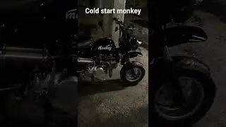 cold start monkey 125