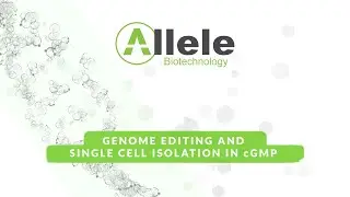 Genome Editing and Single Cell Isolation in cGMP
