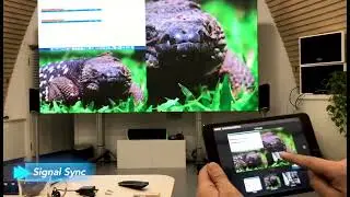 User-friendly AVCiT Video Wall Control Management over IP