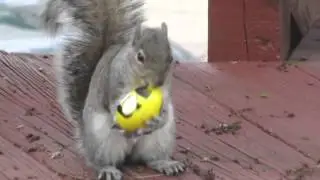 We caught the Easter Bunny!
