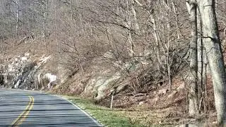 Winter time at Shenandoah Mountain trail.