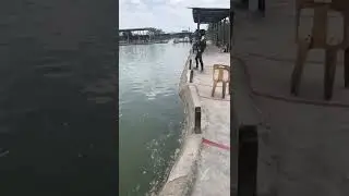 mancing jenahak di kolam pancing SHG pandamaran kolam 1