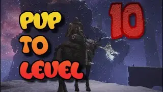 Elden Ring: PVP to level EP. 10 Caria Manor