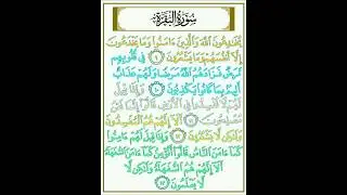 Learn Quran Daily: Surah Al-Baqarah 8&ndash;13 | Qari Senan Ahmad 💕 #quranrecitation #quran #islamic