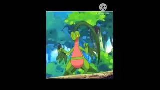 TREECKO POKEMON FULL EVOLUTION