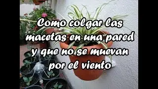 Como colgar las macetas en una pared y que no se muevan por el viento