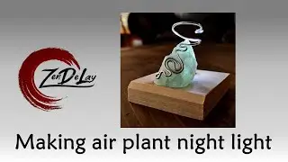 Making an air plant night light.