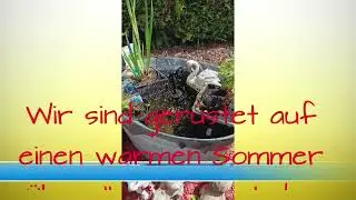 Hier ein sch&ouml;ner &Uuml;berblick &uuml;ber die #Miniteiche
