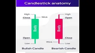Candlesticks Anatomy