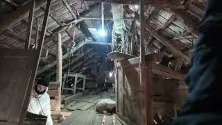 Расчистка чердака и территории в Сербском доме продолжается#переездвсербию#иммиграциявсербию