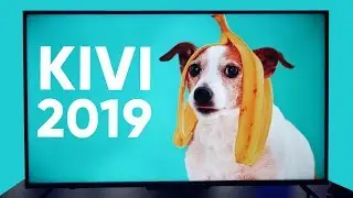 Kivi 2019