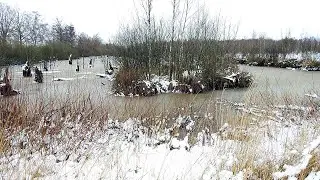 Das Wietingsmoor im Winter.