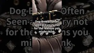 Top Dog Breeds Often Seen as Luxury (And Why)