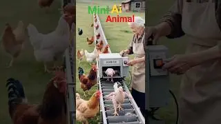 #Dancingchicken #viralvideo #chickendance #Animalchicken #funny #chicken #dance  #cuteAnimals