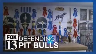 Dog show competitors react to deadly pit bull attack that killed Taylorsville woman