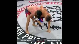Марсель vs Кипиш #mma
