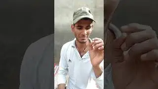 Happy lohri status🍫🥜 #lohri #festival #funny #shorts indianfestival