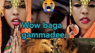 congratulations Biishanee Best machara bagaa gammadee ❤️💕😍