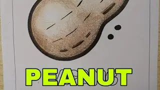 “Coloring a Peanut with Colored Pencils | Satisfying & Relaxing Drawing Process”