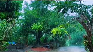 Calming Heavy Rain at for Deep Sleep - Relax, Unwind, and Reduce Stress with Rain Ambience