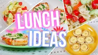 School Lunch Ideas: Quick, Easy, & Delicious!