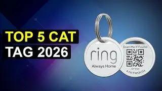 Top 5 Cat Tag 2026 | Purr-Fect Pet Id Tag