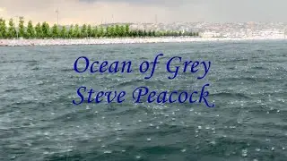 Steve Peacock -  Ocean of Grey