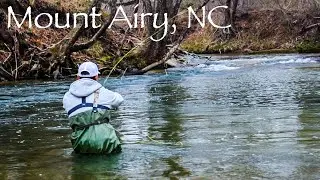 Fly Fishing The Ararat River in Mt Airy, NC