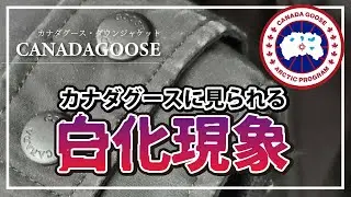 CANADA GOOSEダウンの白化現象
