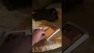 iPhone 17 Pro Unboxing (Feat. Obi The Cat) #shorts