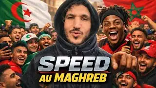 SPEED AU MAGHREB : UN MIROIR DE NOTRE DÉCADENCE