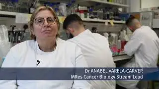 MRes Cancer Biology - Meet stream lead Dr Anabel Varela Carver