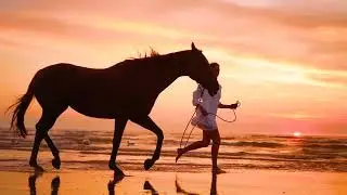 Riding HORSES on the beach SUNSET, SHORT cinematic video