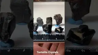 Tantalite Crystals