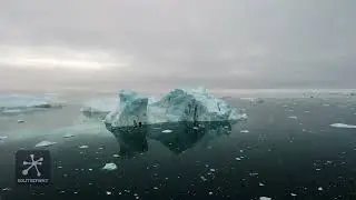 Biomas marinos