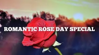 Happy Rose Day 2019 Wishes, Rose Day Shayari SMS Status Quotes In Hindi,Greetings,Romantic Quotes