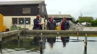 God sommer Norge - &Oslash;stersfarm